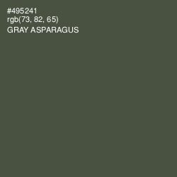 #495241 - Gray Asparagus Color Image